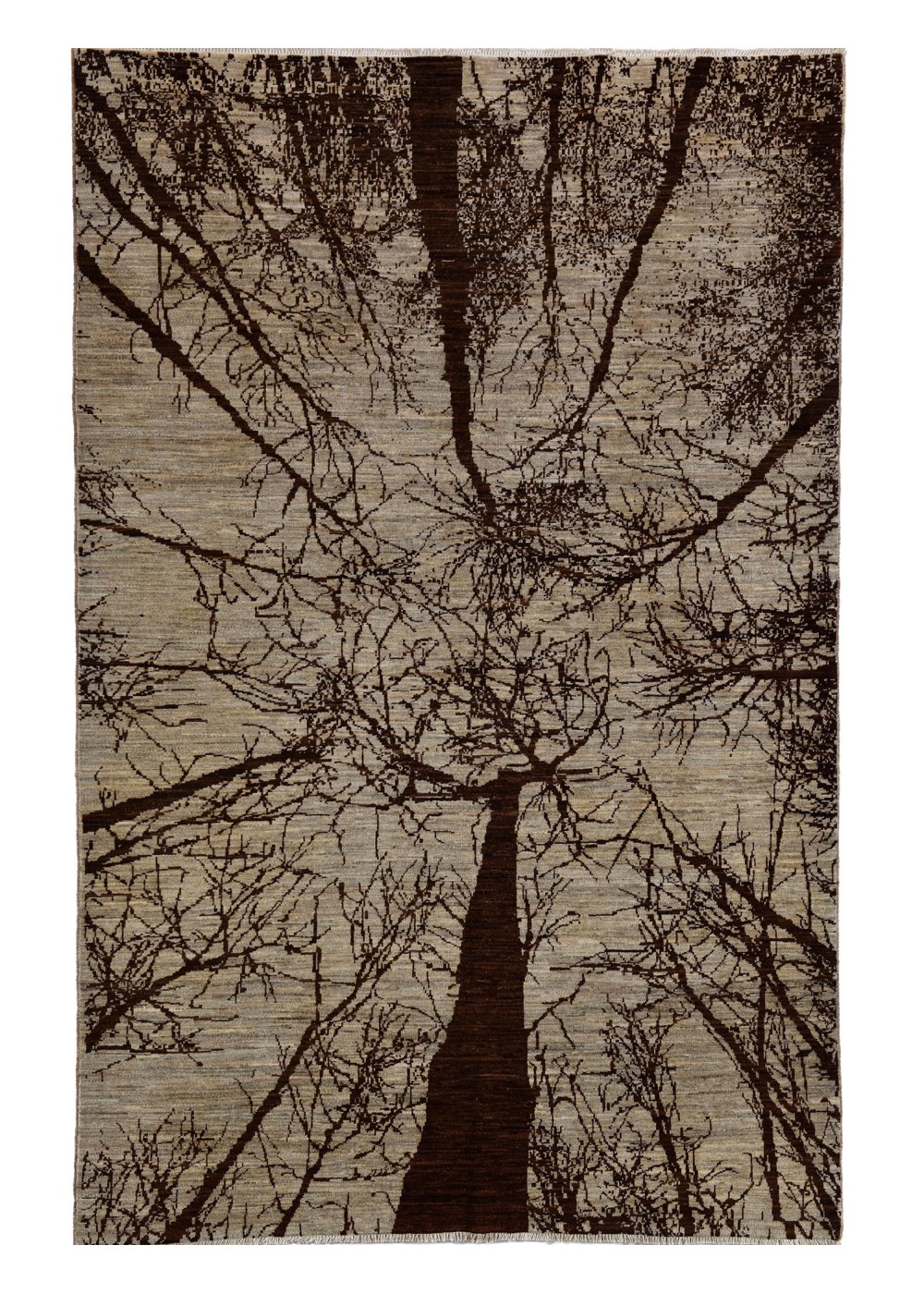 Sylvara El Dokuma Yün Halı 245x163 cm AND216013245X163399