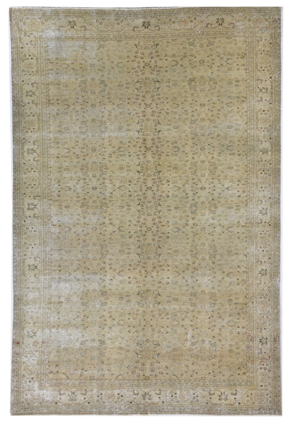 Sand Lily El Dokuma Yün Halı 284x195 cm AND187012284X195553