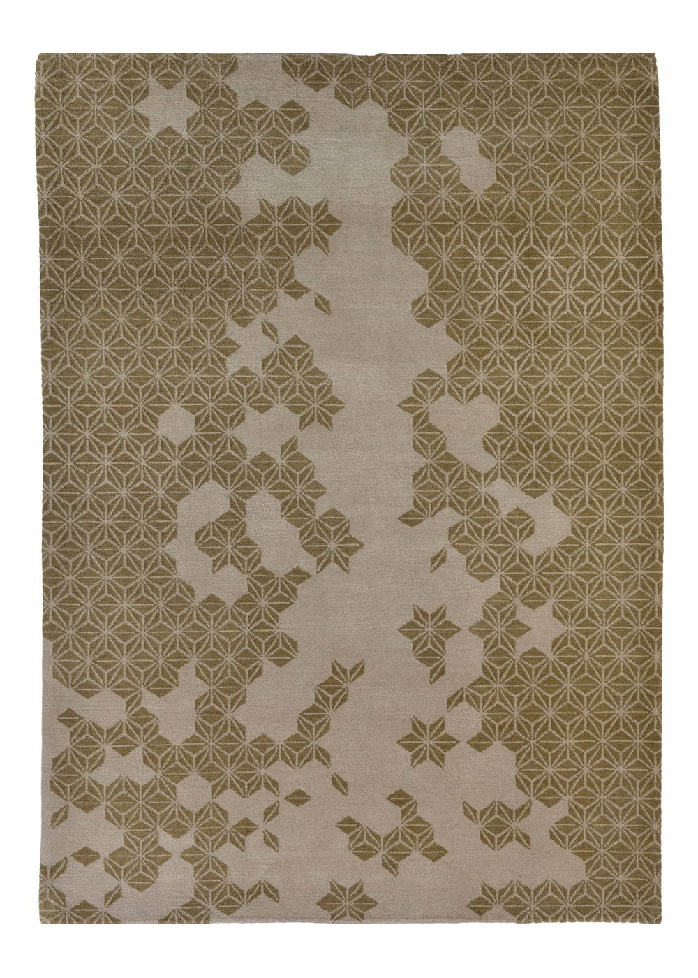 Asara El Dokuma Yün ve İpek Halı 236x174 cm DSG111034236X174411