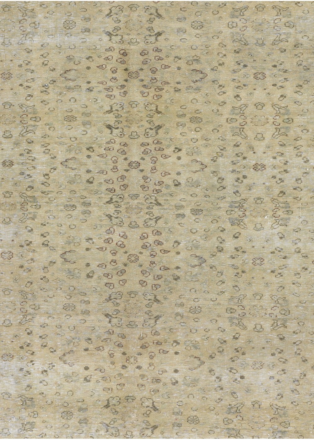 Sand Lily El Dokuma Yün Halı 284x195 cm AND187012284X195553