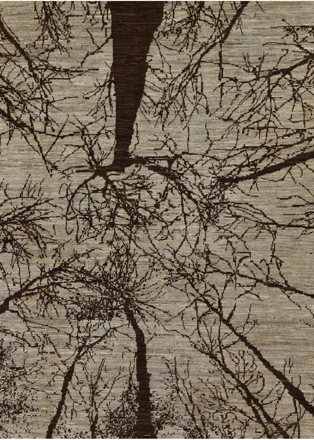 Sylvara El Dokuma Yün Halı 245x163 cm AND216013245X163399